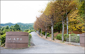 自由の森学園中学校・高等学校